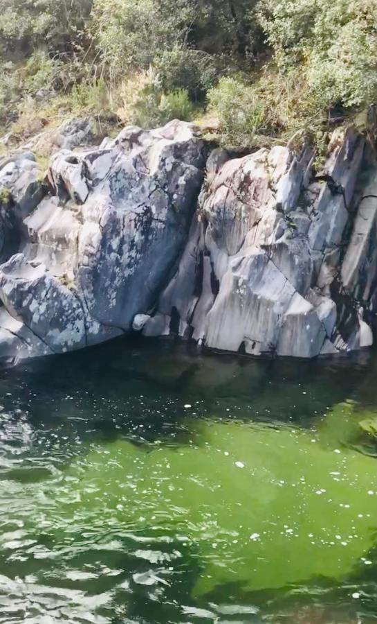 Isolaccio-di-Fiumorbo Un Ecrin De Verdure Face A La Mer المظهر الخارجي الصورة